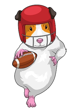 Guinea pig American Football