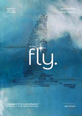 Abstract ASCII Art 'fly'