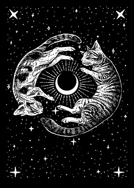 Celestial Cats