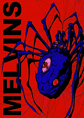 Melvin's Spider with Multiple Eyes