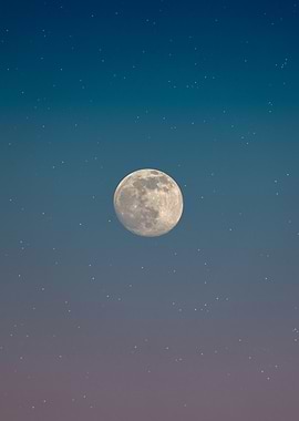 Full Moon in a Starry Sky