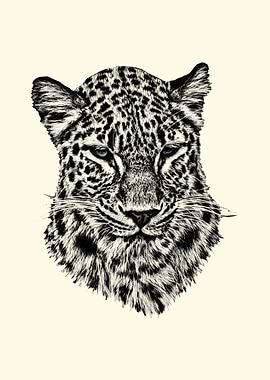 Leopard Portrait Sketch