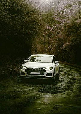 White Audi SUV on a Forest Road