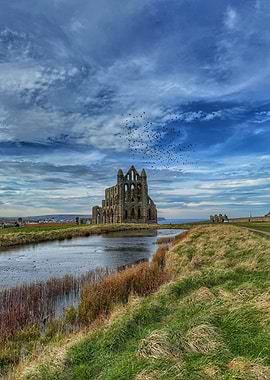 Whitby Abbey ruins and flock of birds