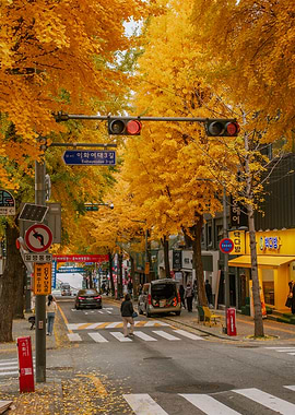 Autumn Street Scene in Seoul with Ginkgo Trees