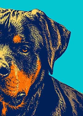 Pop Art Rottweiler Portrait