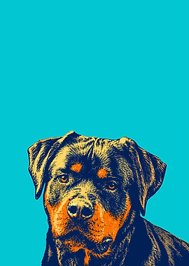 Rottweiler Pop Art Portrait