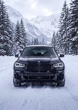Black BMW X5 in Snowy Forest