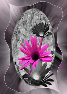 Shades of purple