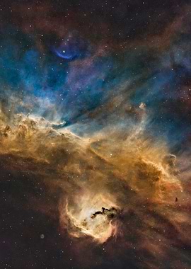 Seagull Nebula