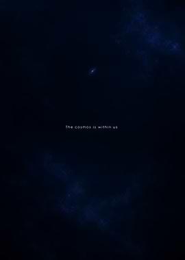 The cosmos is within us quote