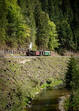 Austrian Steam Train in a Forest by a River