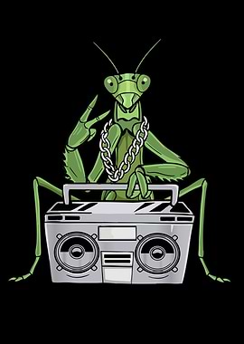 Praying Mantis Lover Hip Hop Kids Music Boys Praying Mantis