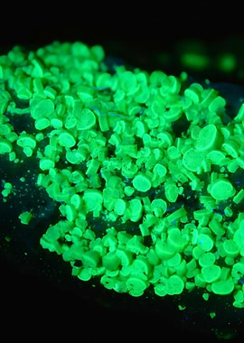 Autunite UV Crystals — Radioactive Glow