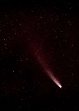 Comet in the Night Sky