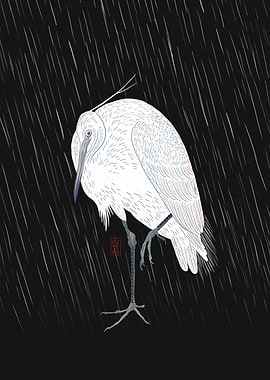 White Egret in the Rain