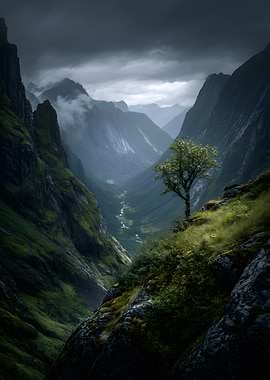 Misty Mountain Valley with Lone Tree