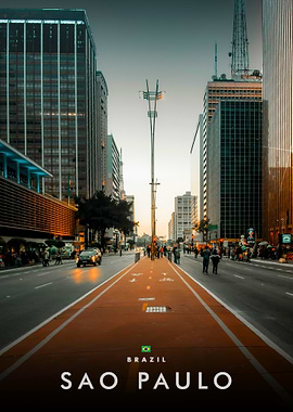 Sao Paulo Cityscape with Bike Lane