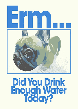Funny French Bulldog