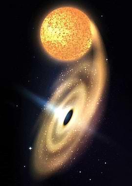 Black Hole Accretion Disk and Star