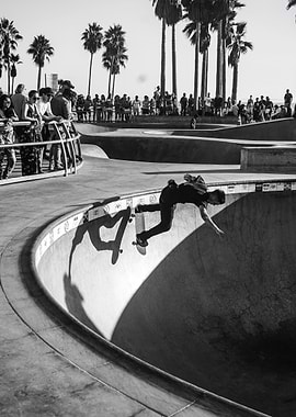 Skateboarder in Venice Beach Skatepark