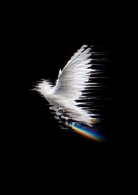 Glitching White Dove