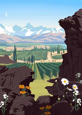 Silent Valleys — Vineyard Serenity