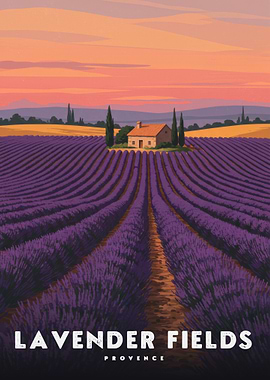 Lavender Fields in Provence