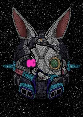 Broken Rabbit