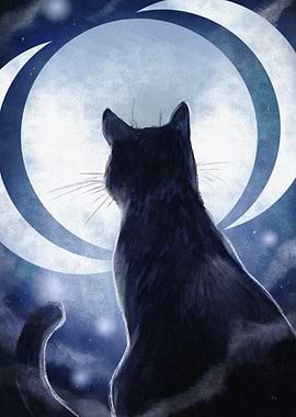 Moon Cat