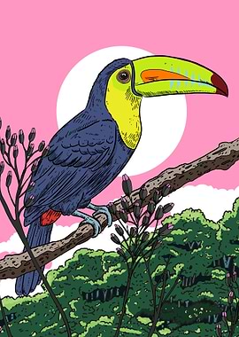 Toucan on a branch with pink sky