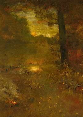 Sunset over a tranquil forest lake