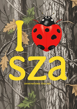SZA Grand National Tour Poster