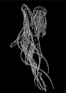 Whale and Jellyfish Illustration