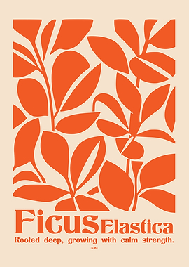Ficus Elastica Plant Poster