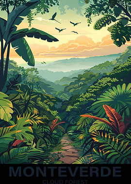 Monteverde Cloud Forest Landscape