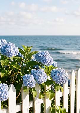 Blue Hydrangeas by the Ocean