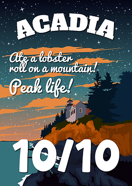 Acadia National Park 10/10 The Stars Are Very Bright Astronaut Funny Vintage Poster