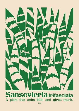 Sansevieria Trifasciata Plant Wall Art