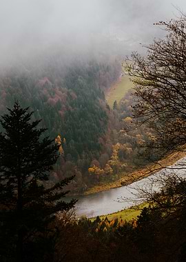 Misty Mountain Valley with River