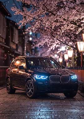 BMW X5 under Cherry Blossoms at Night