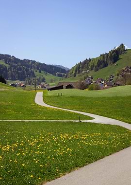 Scenic Countryside Path with Dandelions