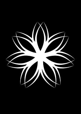White Lotus Flower on Black Background