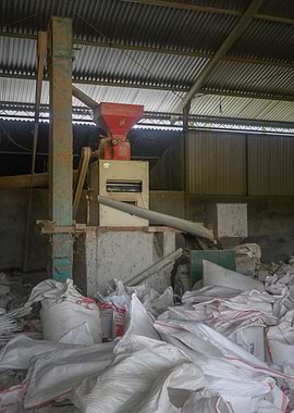 Rice Mill with Sacks of Grain