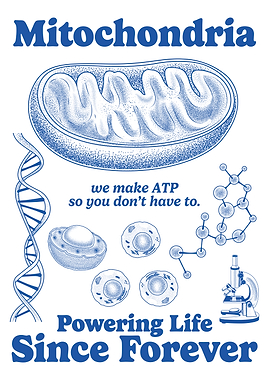 Mitochondria Powering Life