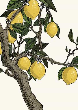 Lemon Tree Branches with Fruit and Flowers