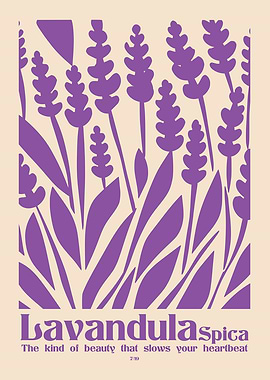 Lavender Spica Botanical Art