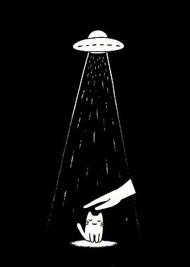 Cat abducted by UFO, hand petting it