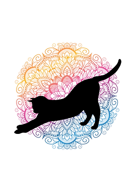 Black Cat Stretching on Mandala
