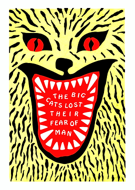 Big Cats Lost Their Fear of Man